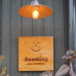 seedling